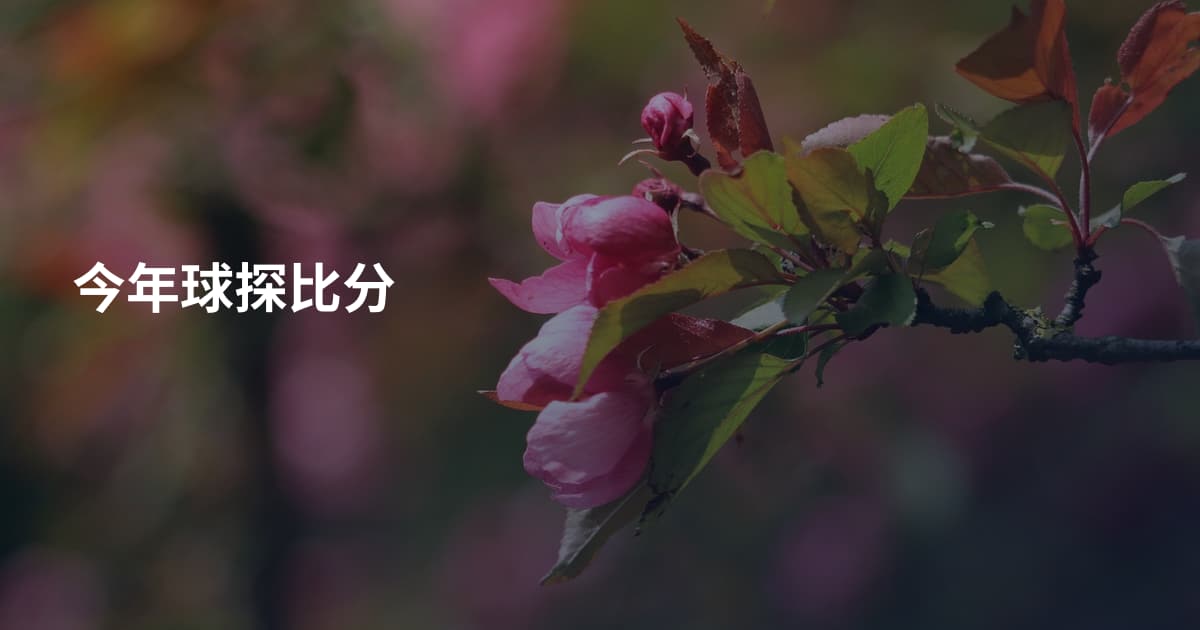 今年球探比分