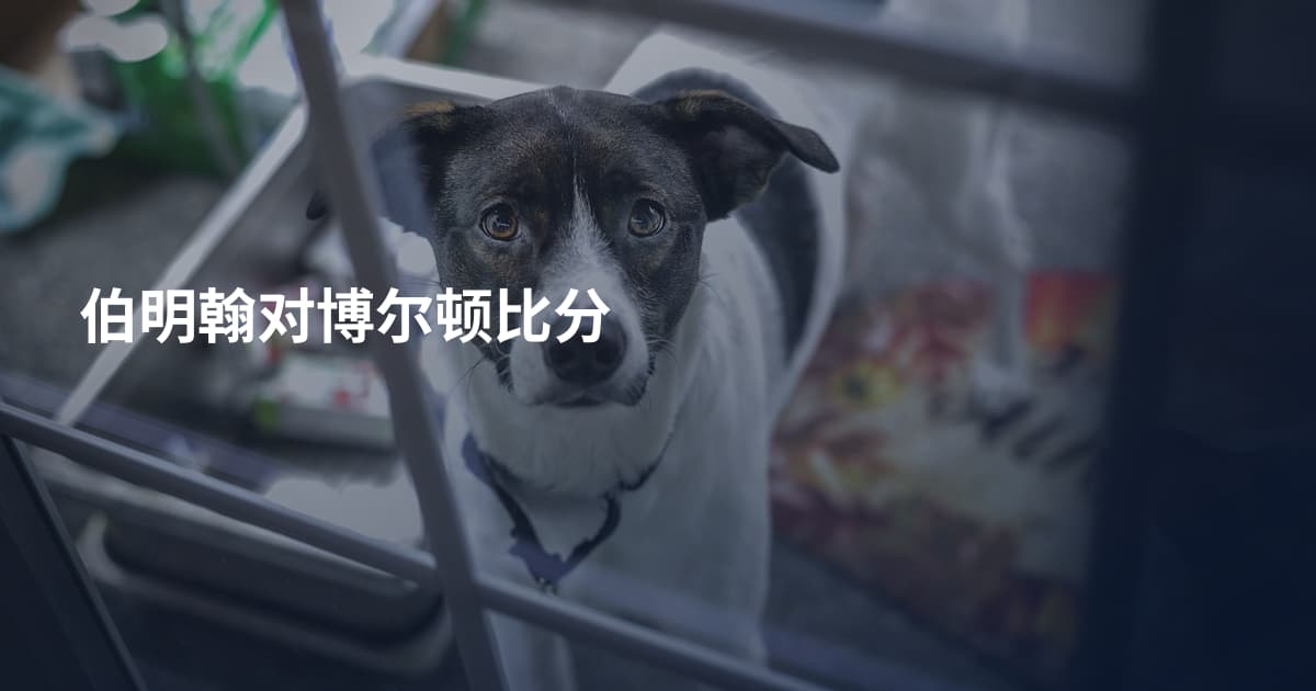 伯明翰对博尔顿比分