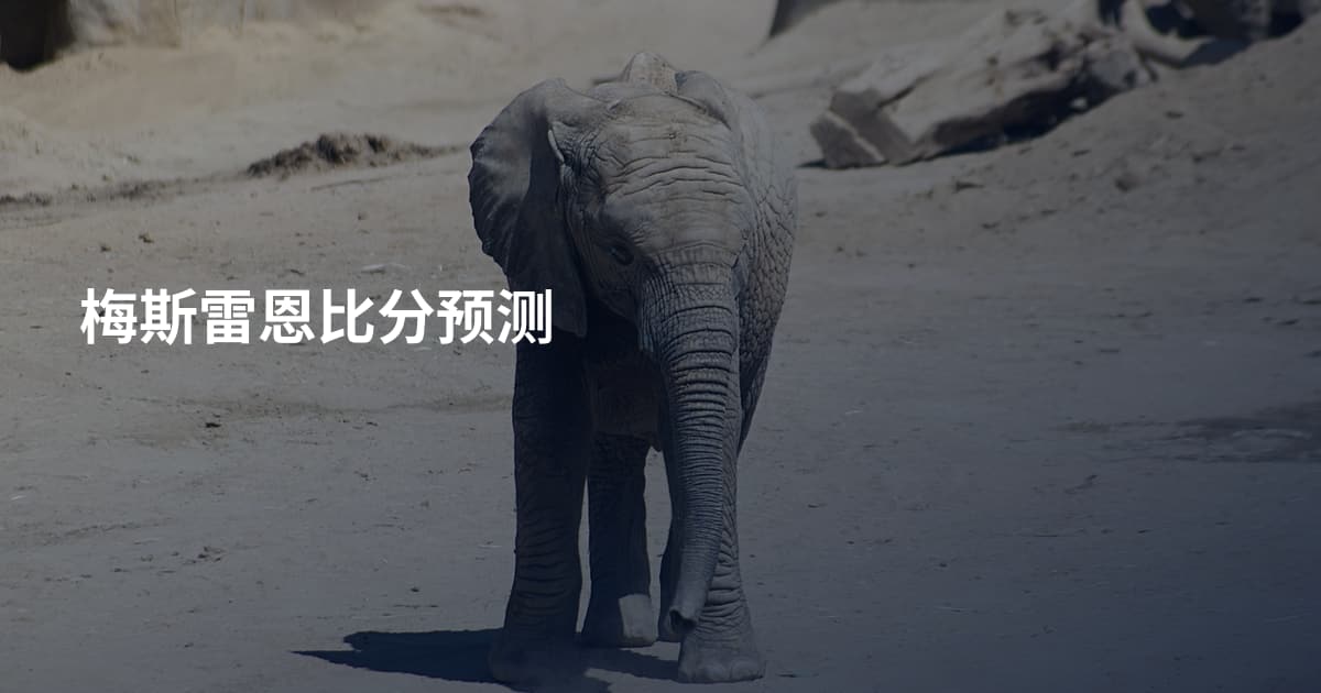 梅斯雷恩比分预测