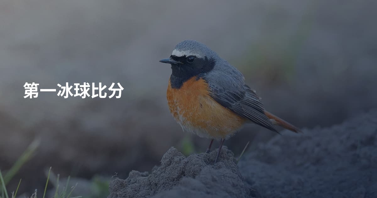 第一冰球比分