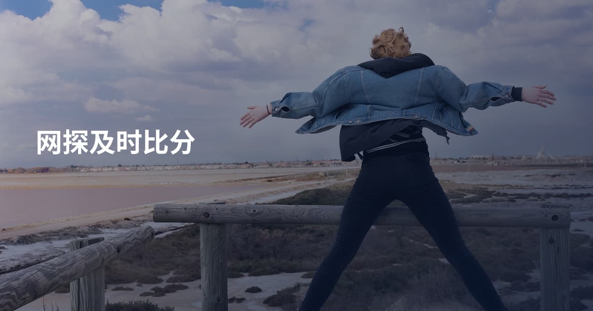 网探及时比分