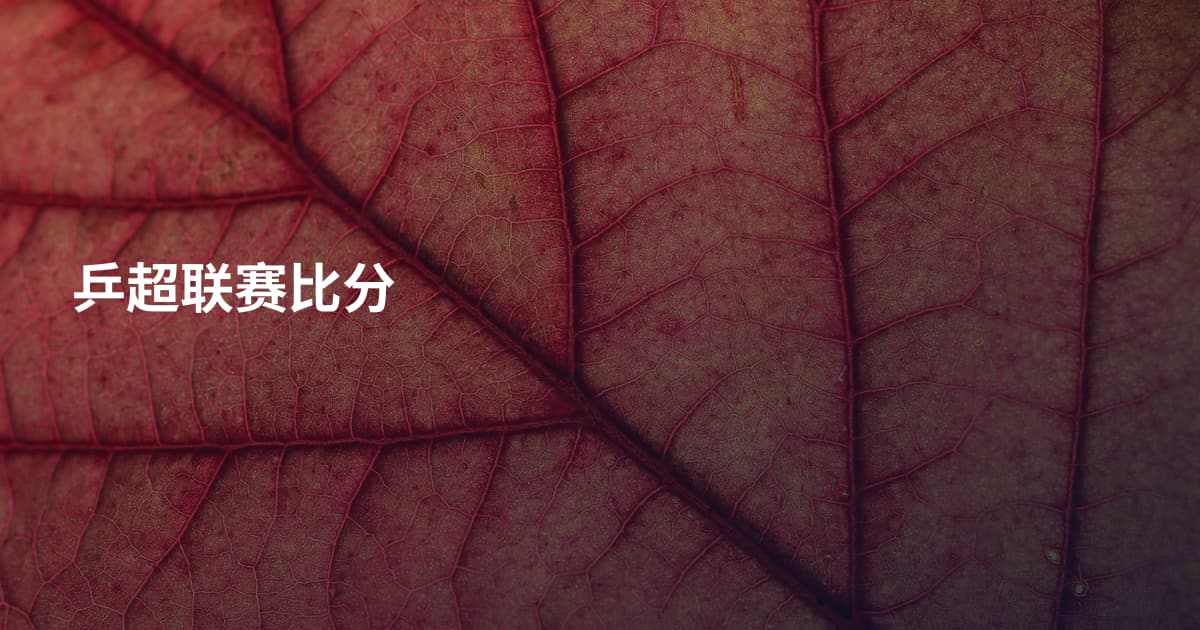 乒超联赛比分