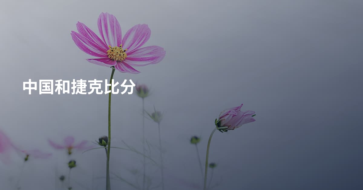 中国和捷克比分
