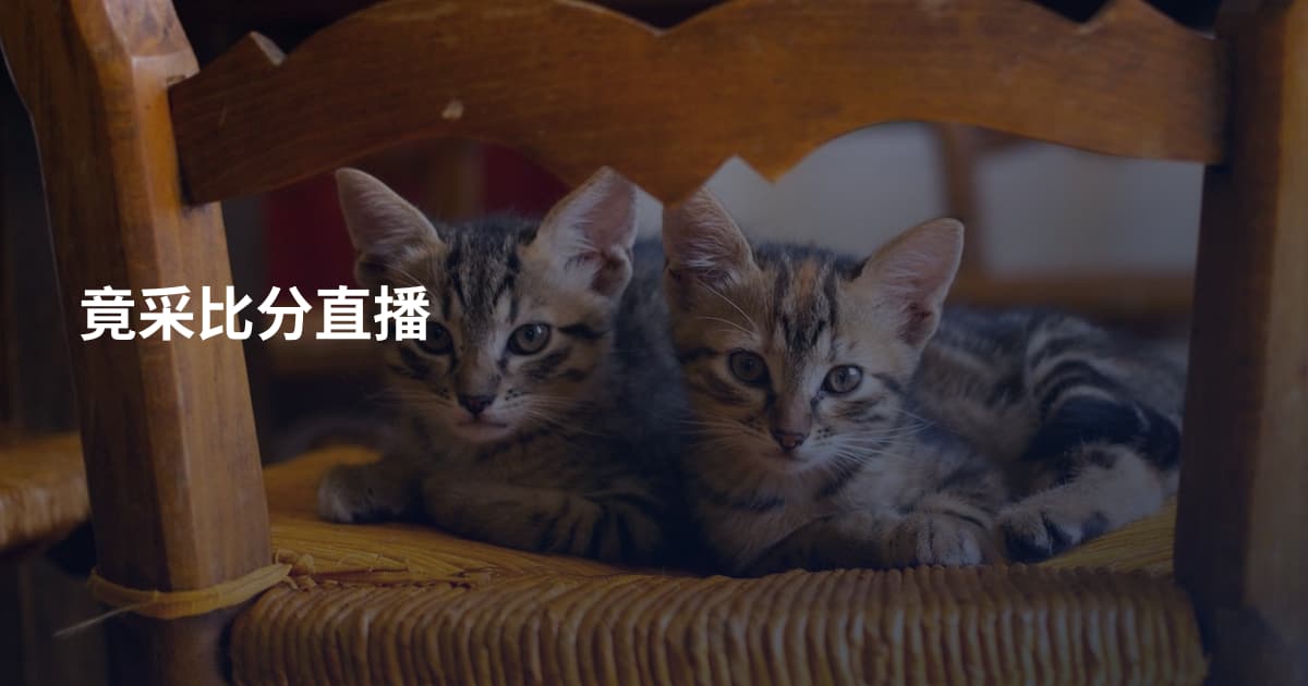 竟采比分直播