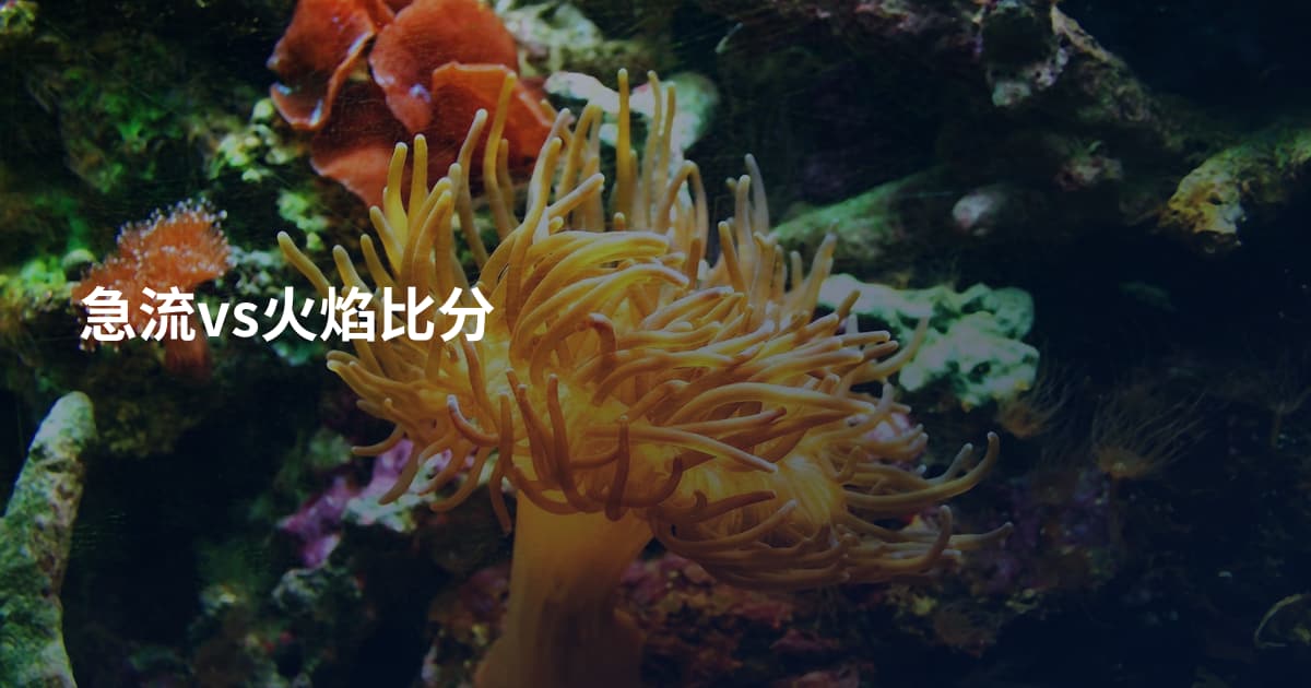 急流vs火焰比分
