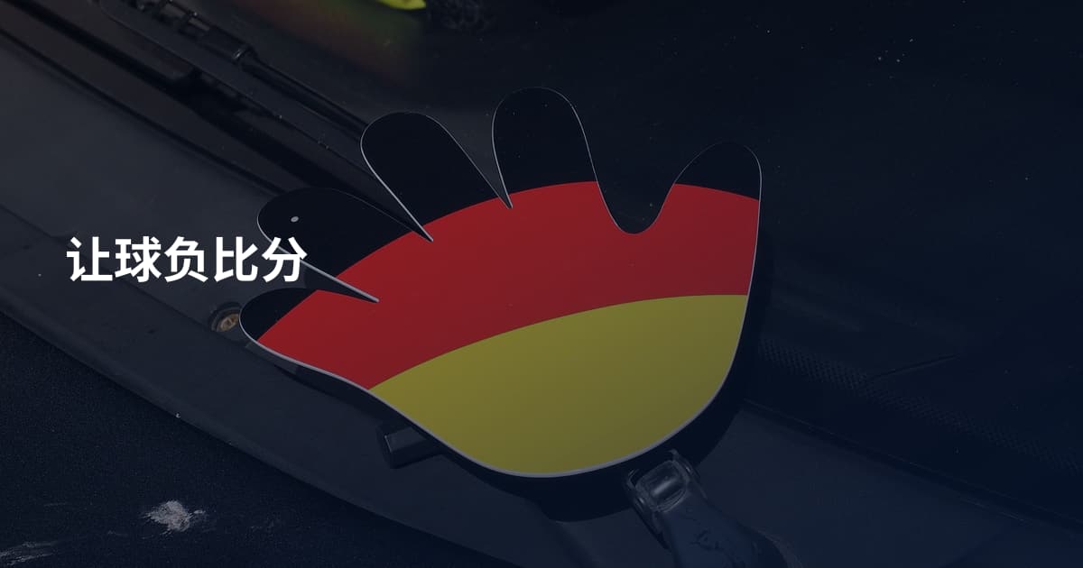 让球负比分