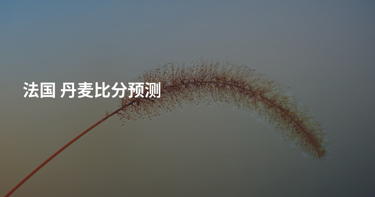 法国 丹麦比分预测