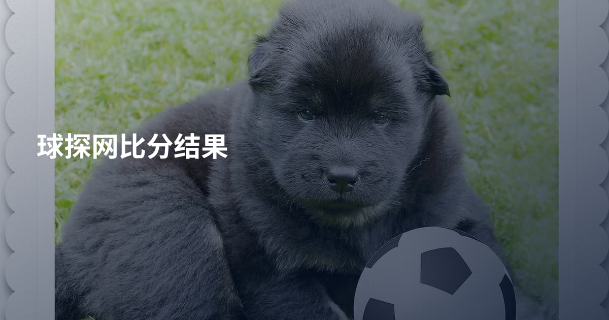 球探网比分结果