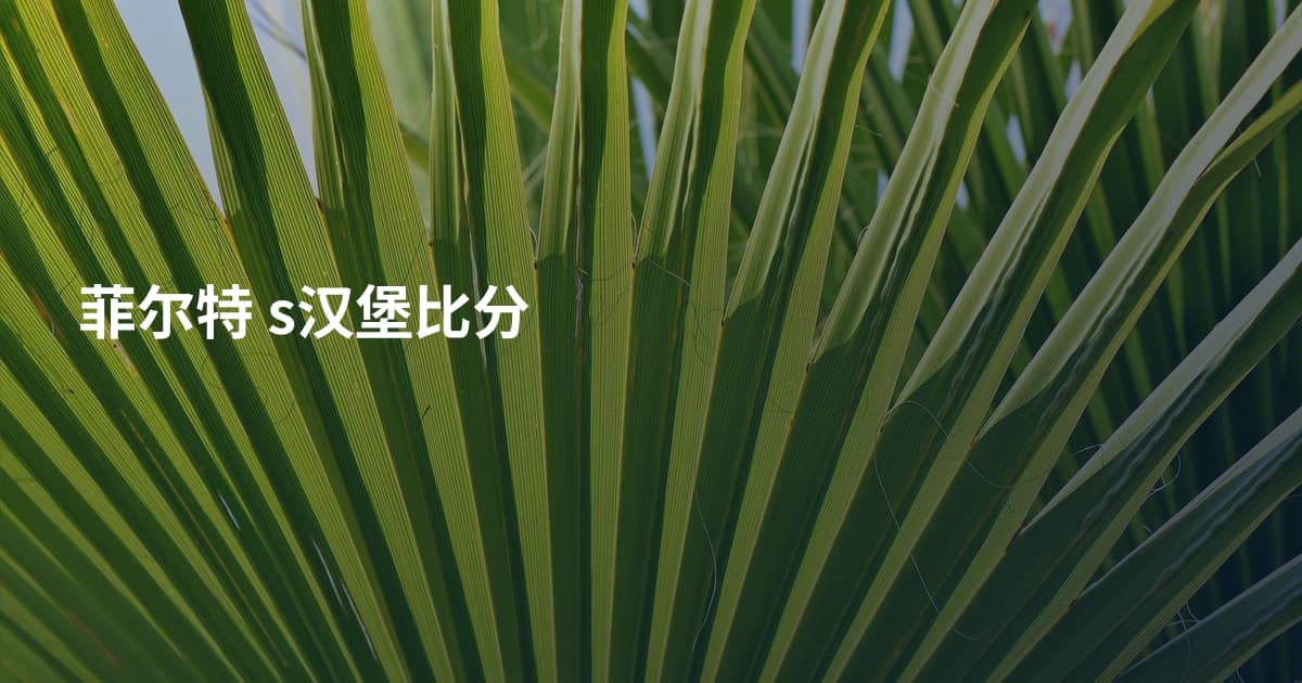 菲尔特 s汉堡比分