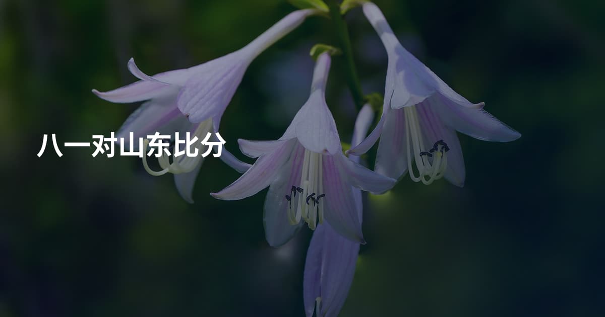 八一对山东比分