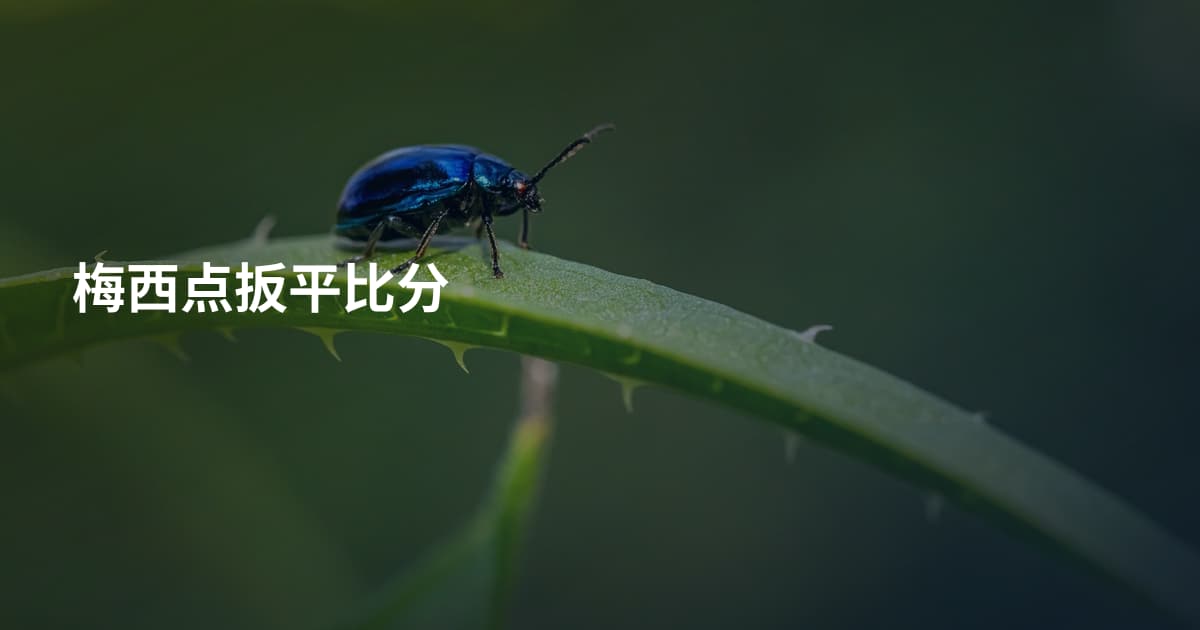 梅西点扳平比分