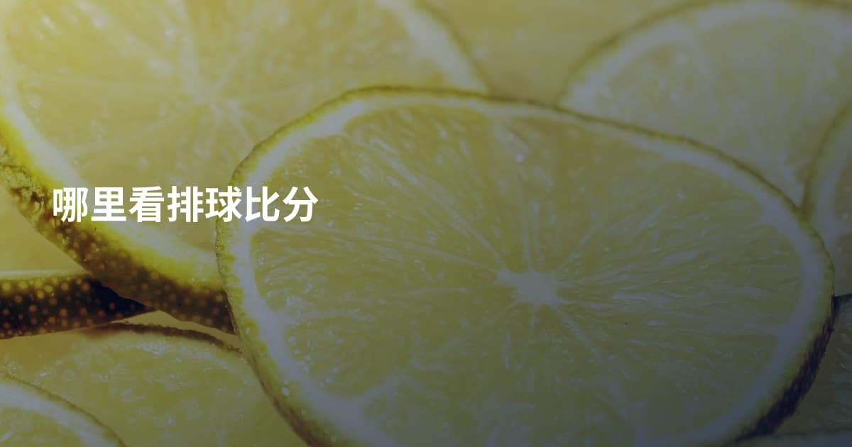 哪里看排球比分