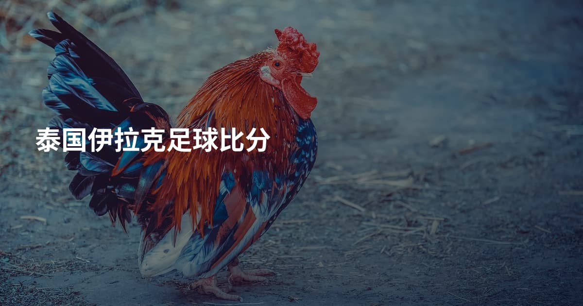 泰国伊拉克足球比分