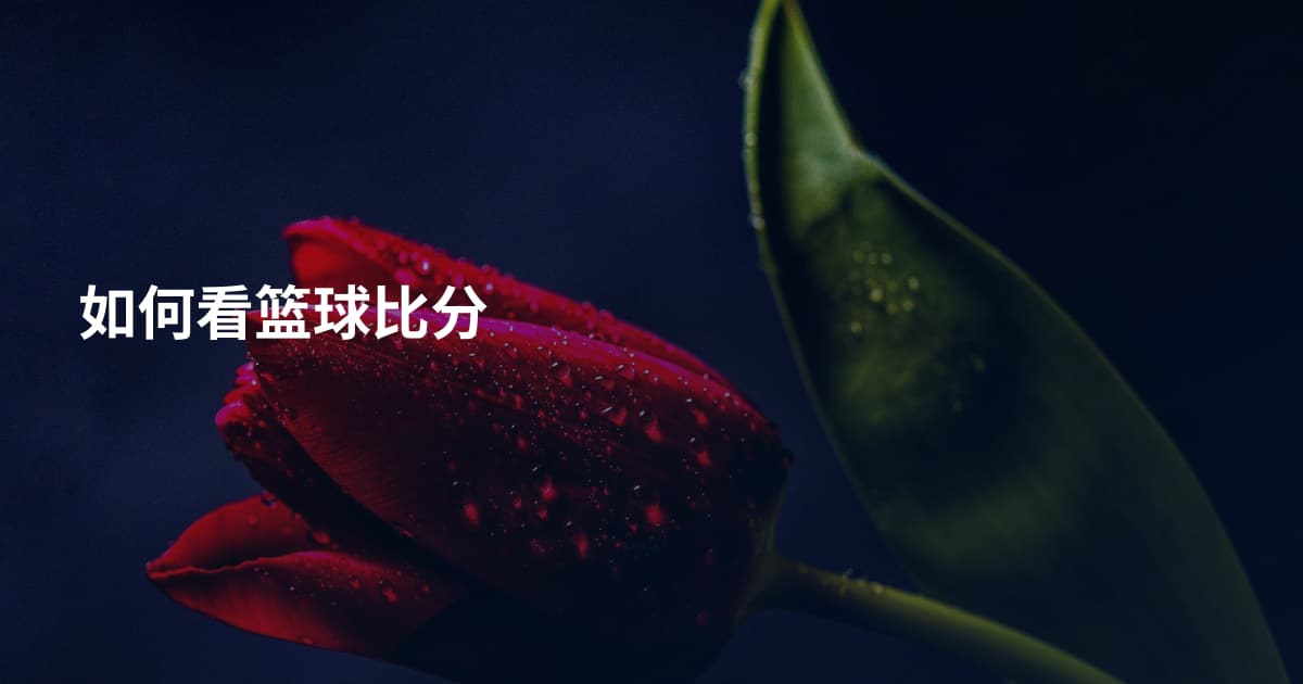 如何看篮球比分