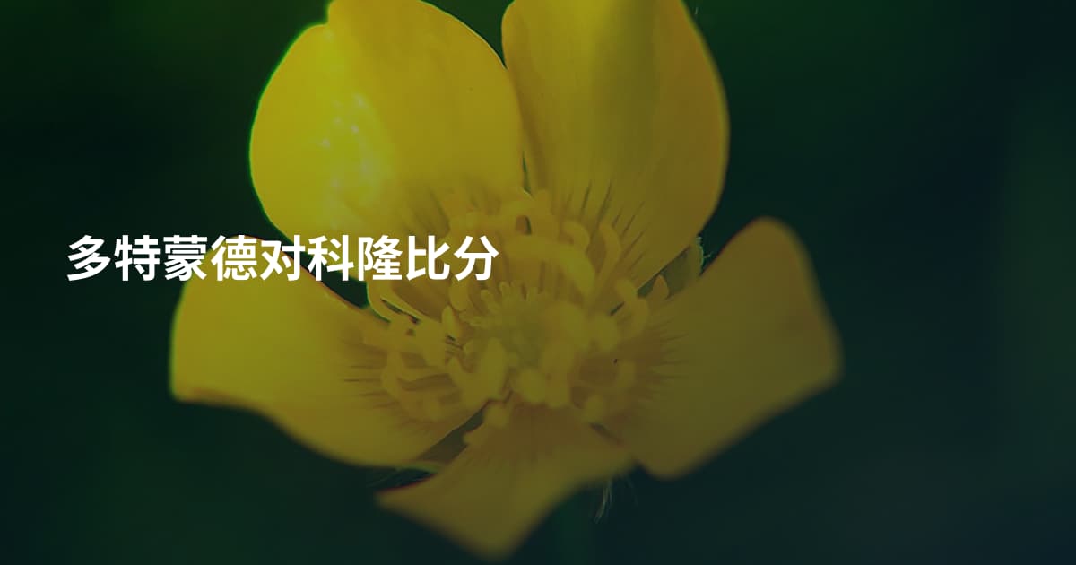 多特蒙德对科隆比分