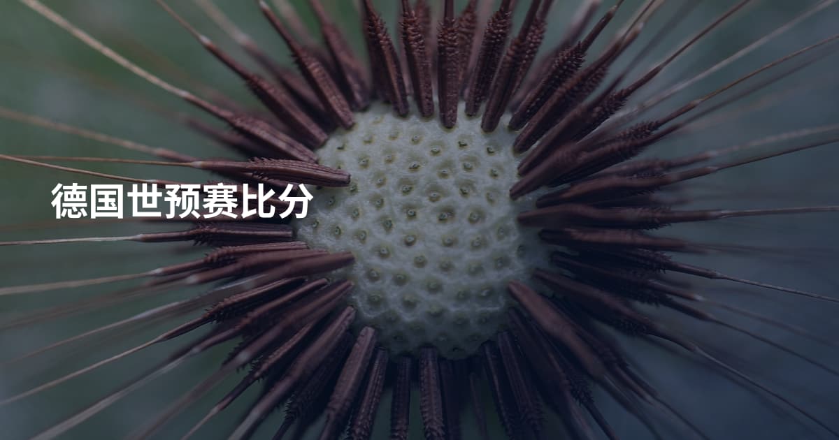 德国世预赛比分