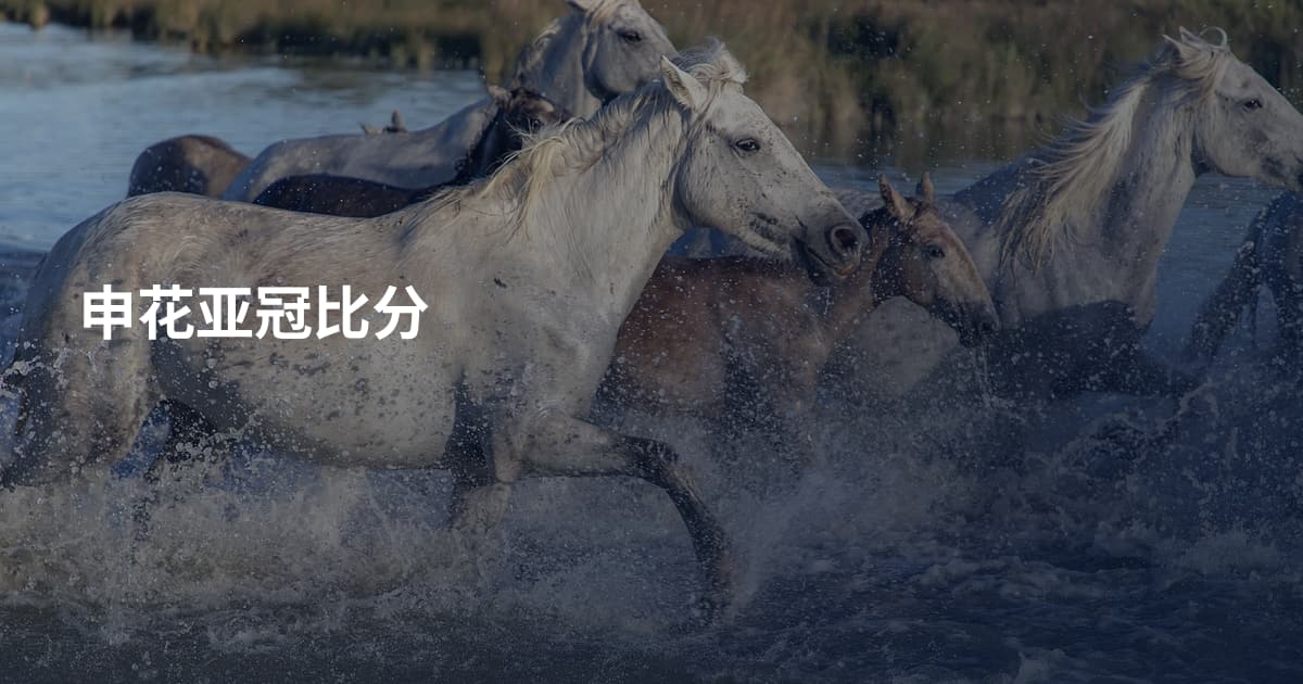 申花亚冠比分
