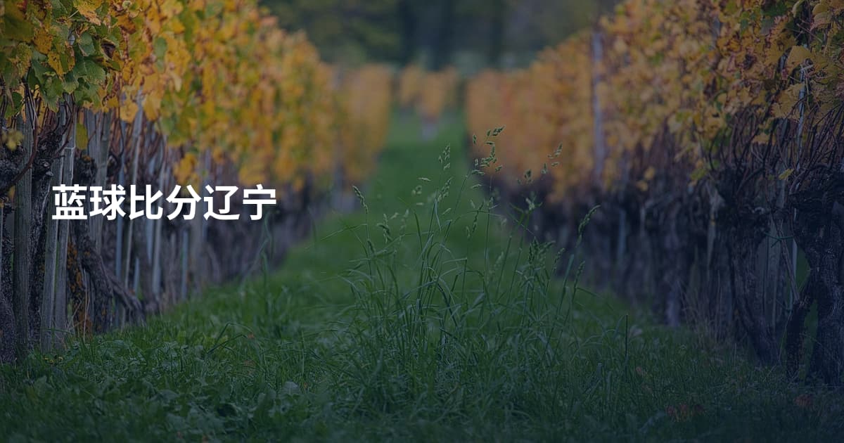 蓝球比分辽宁