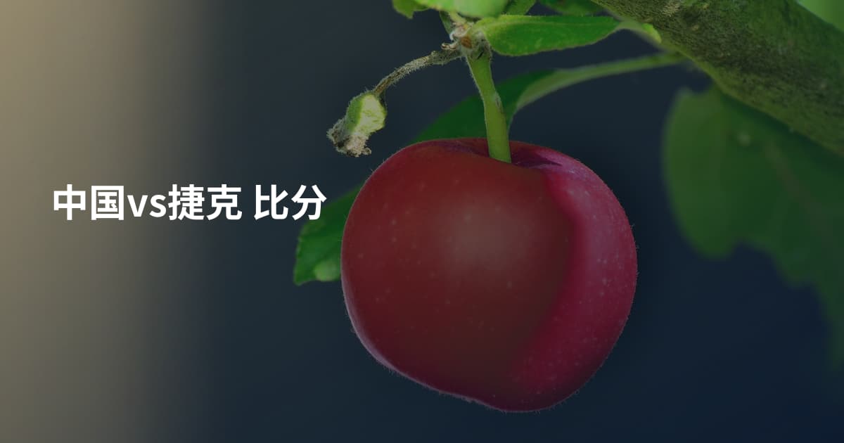 中国vs捷克 比分