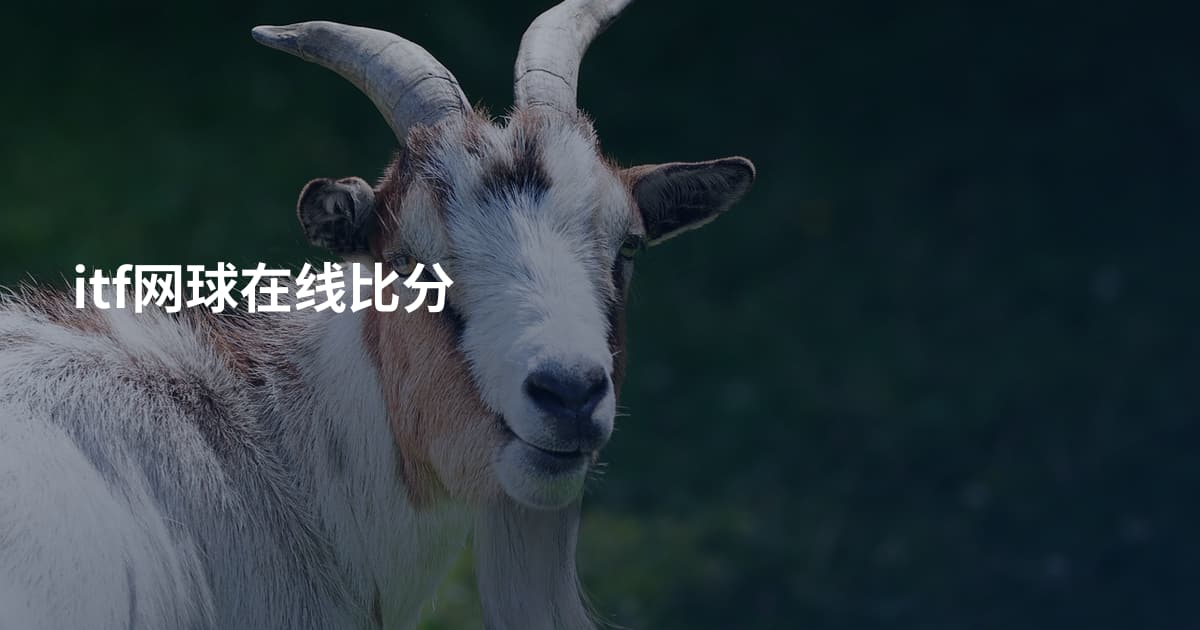 itf网球在线比分
