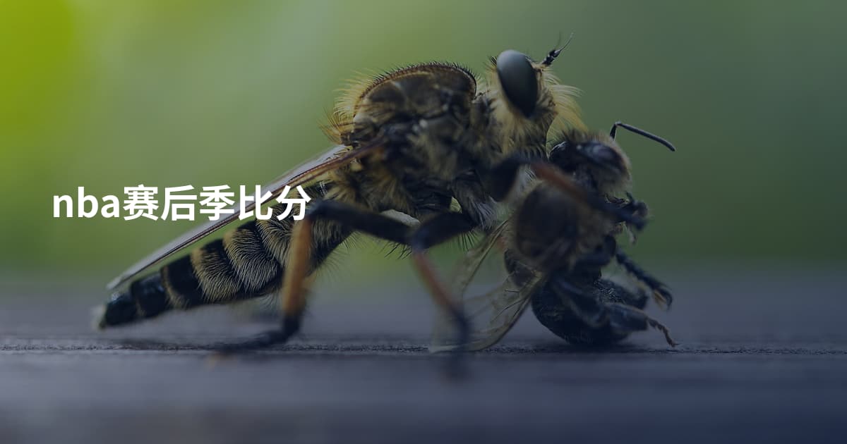 nba赛后季比分