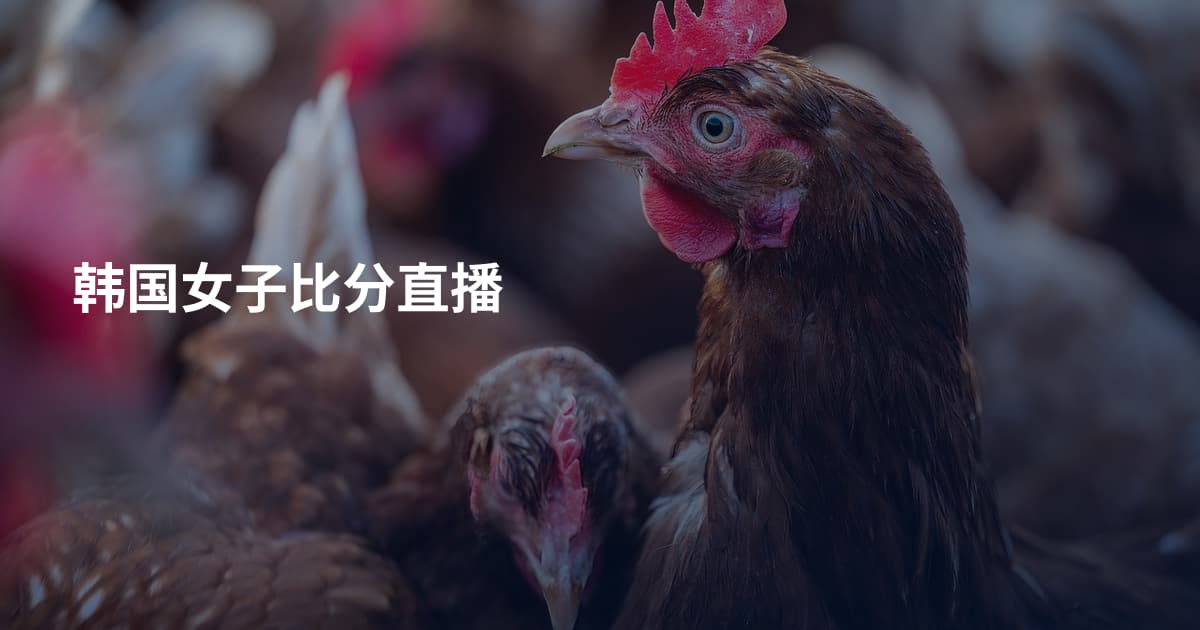 韩国女子比分直播