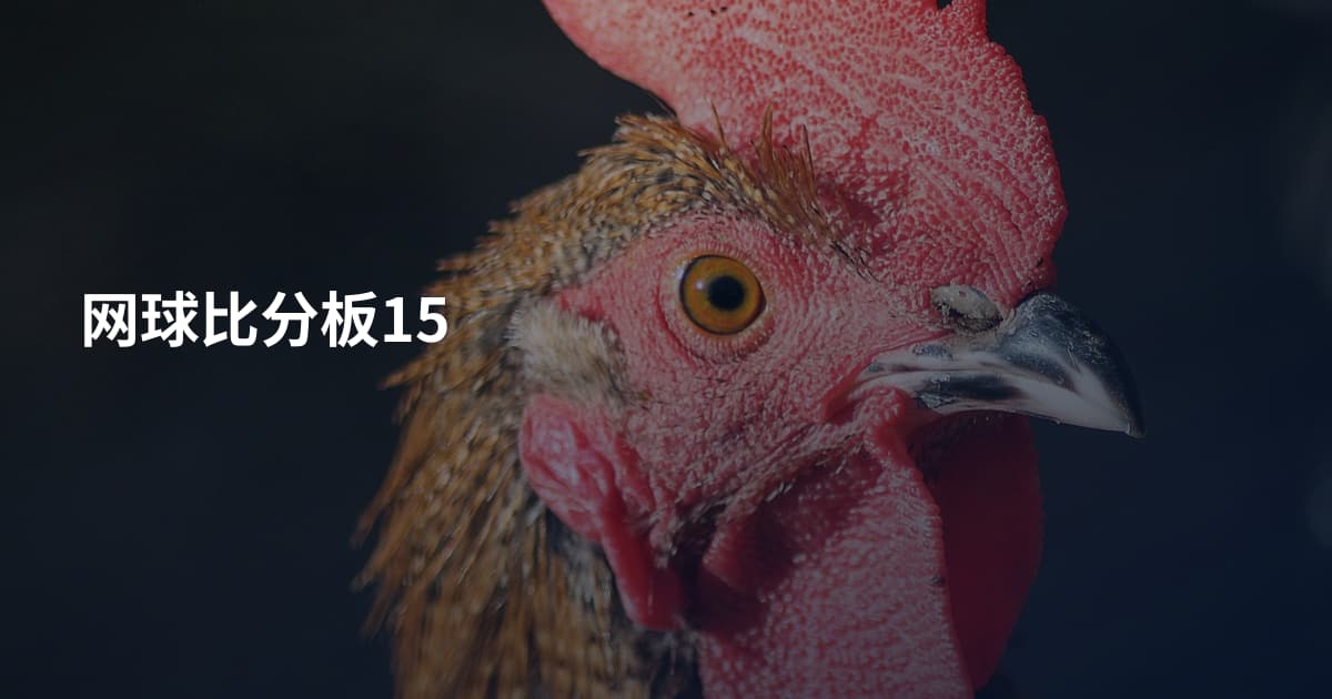 网球比分板15