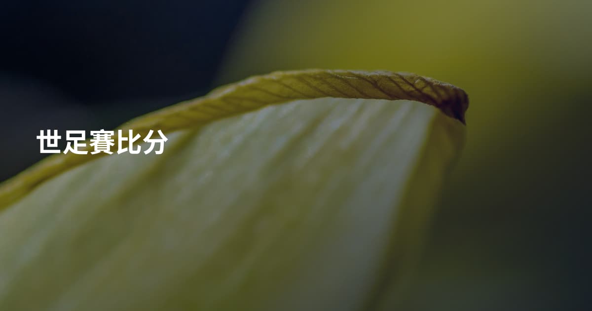 世足賽比分