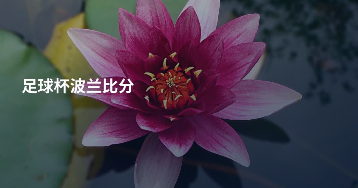 足球杯波兰比分