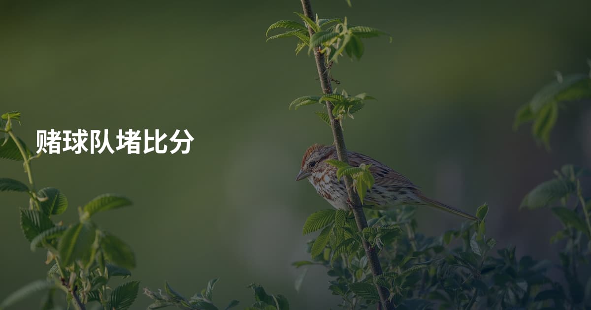 赌球队堵比分