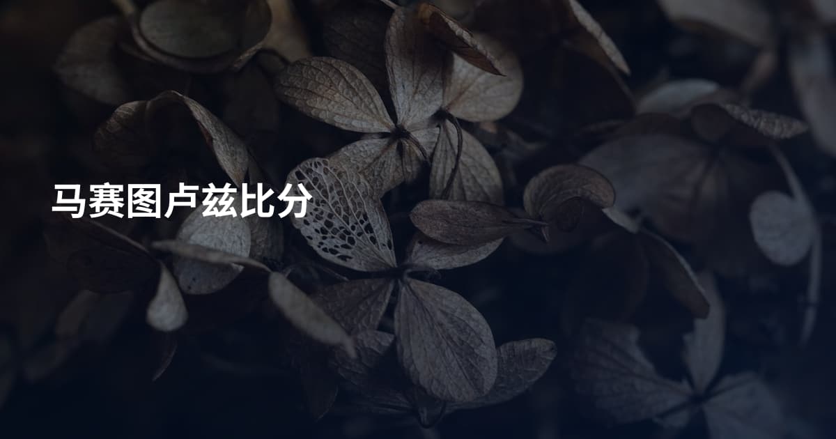 马赛图卢兹比分