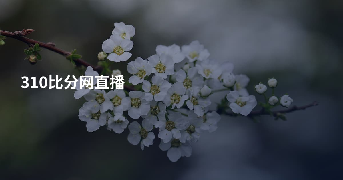 310比分网直播