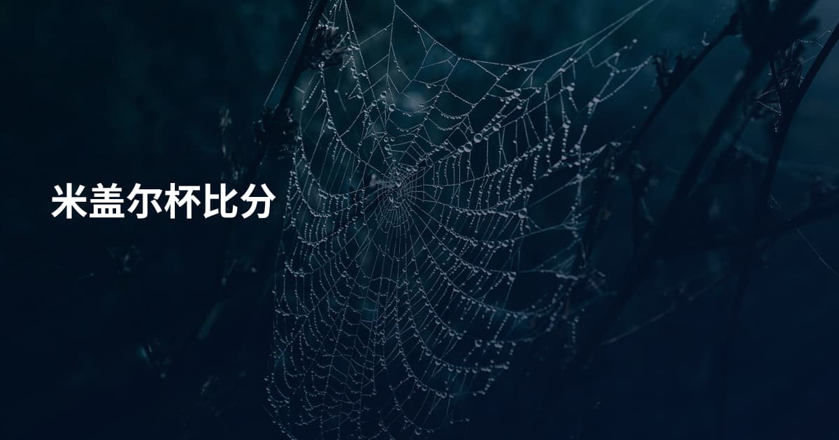 米盖尔杯比分