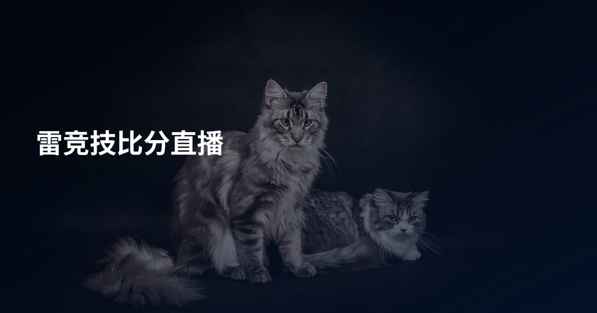 雷竞技比分直播