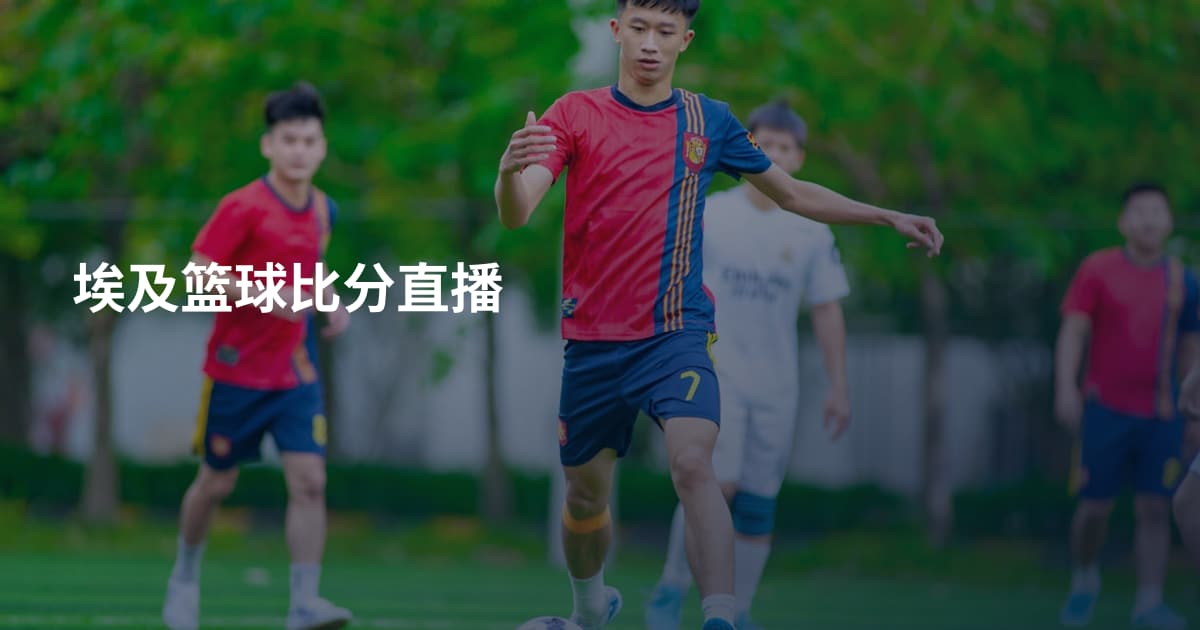 埃及篮球比分直播