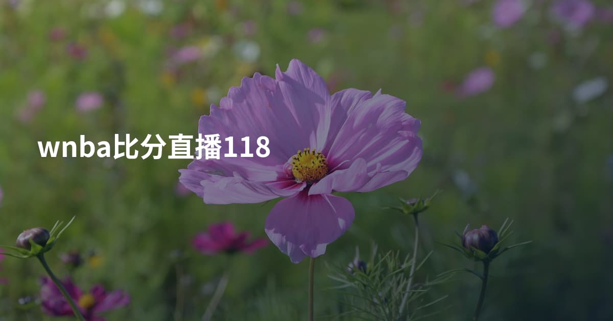 wnba比分直播118