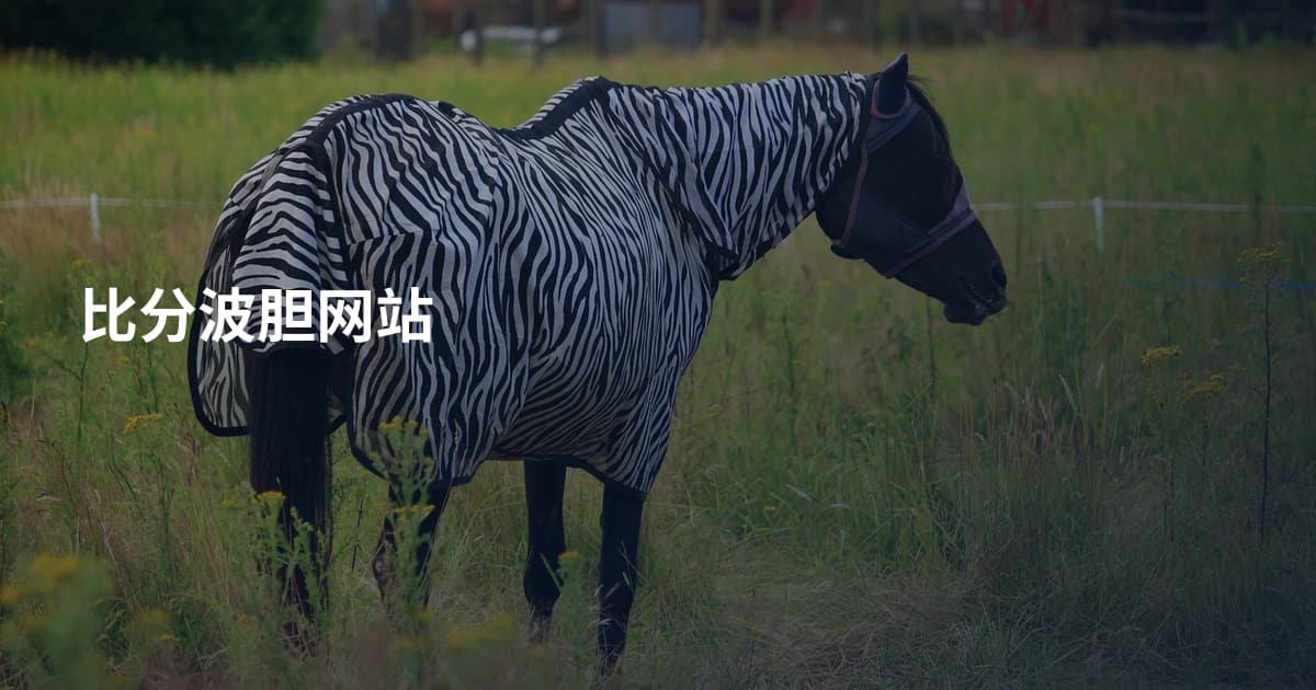 比分波胆网站
