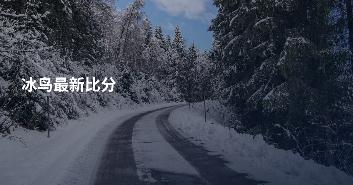 冰鸟最新比分