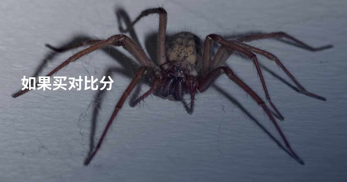 如果买对比分