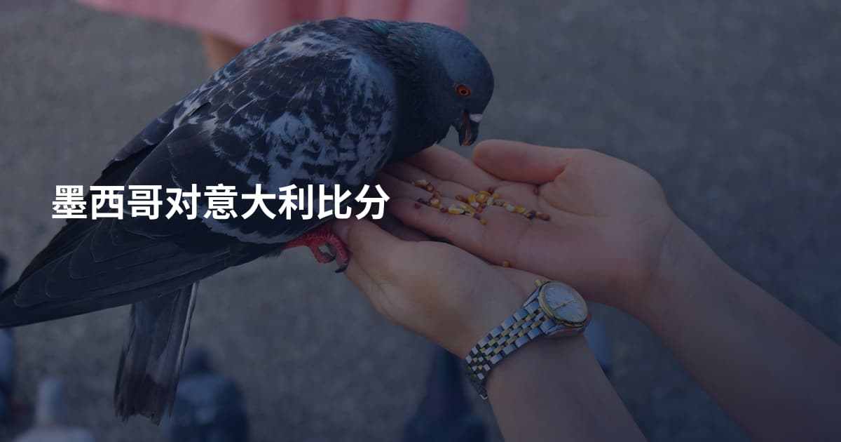 墨西哥对意大利比分