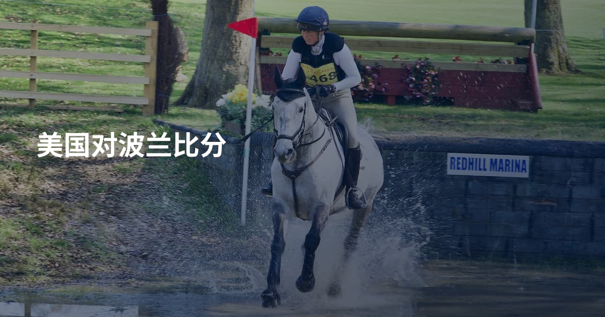 美国对波兰比分