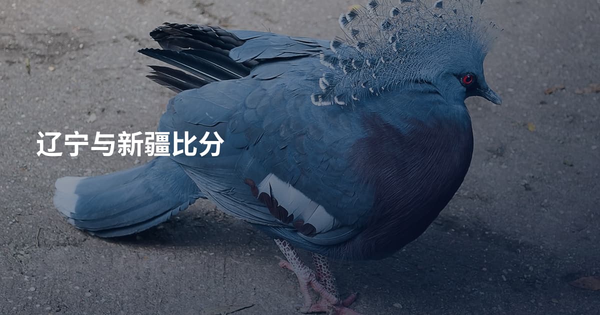 辽宁与新疆比分