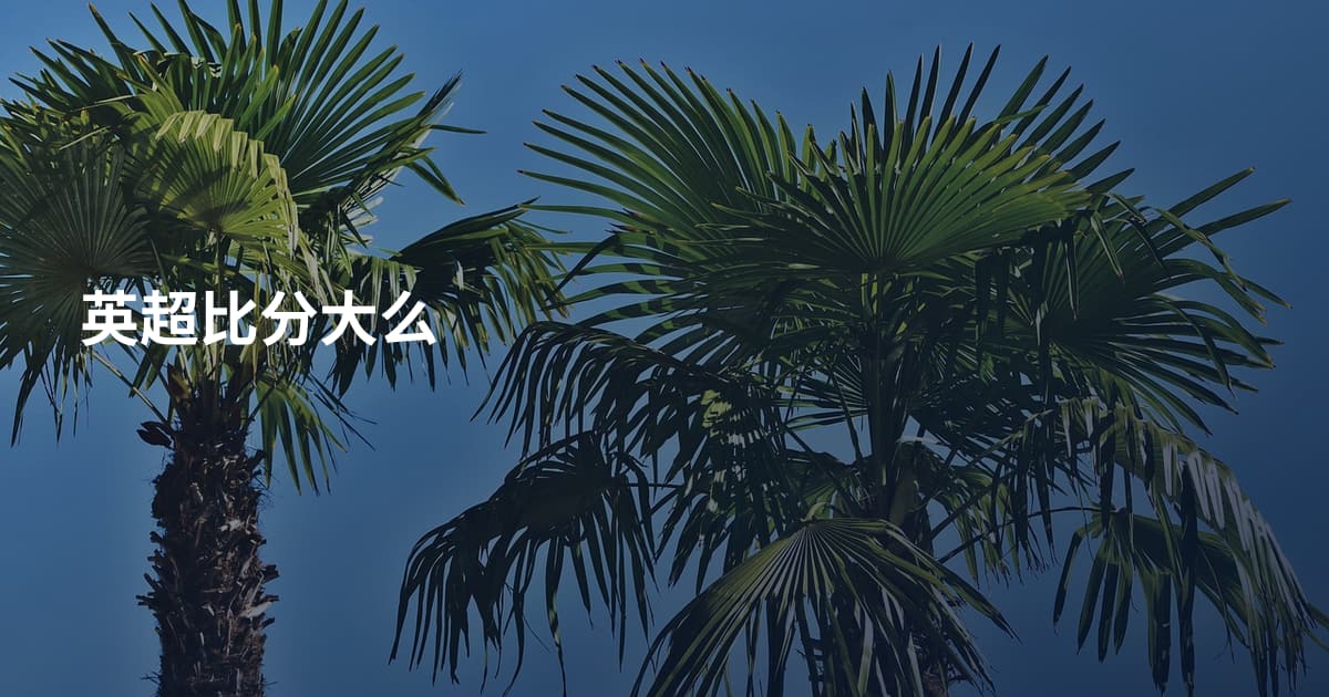 英超比分大么