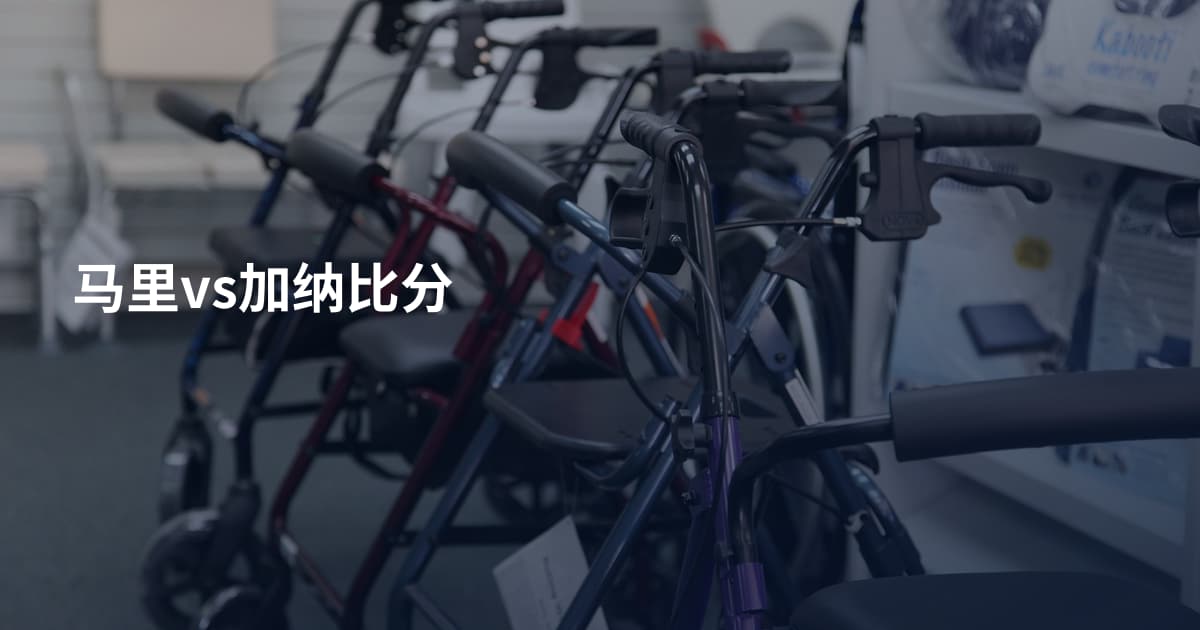 马里vs加纳比分
