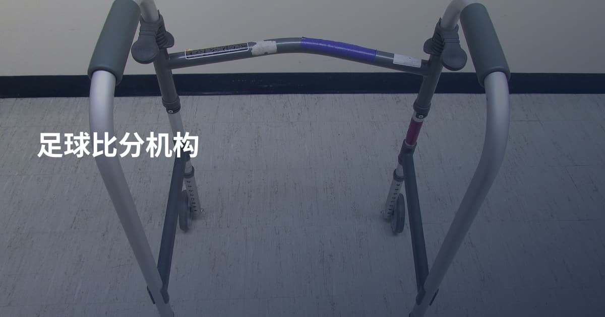 足球比分机构