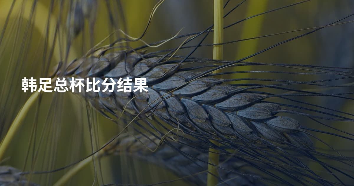 韩足总杯比分结果