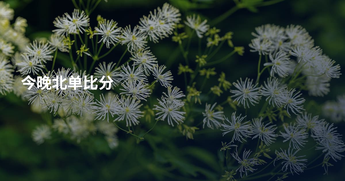 今晚北单比分