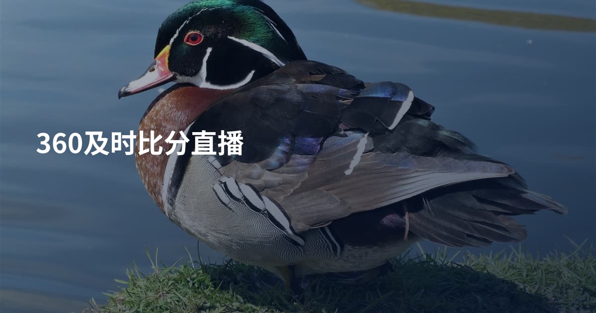 360及时比分直播