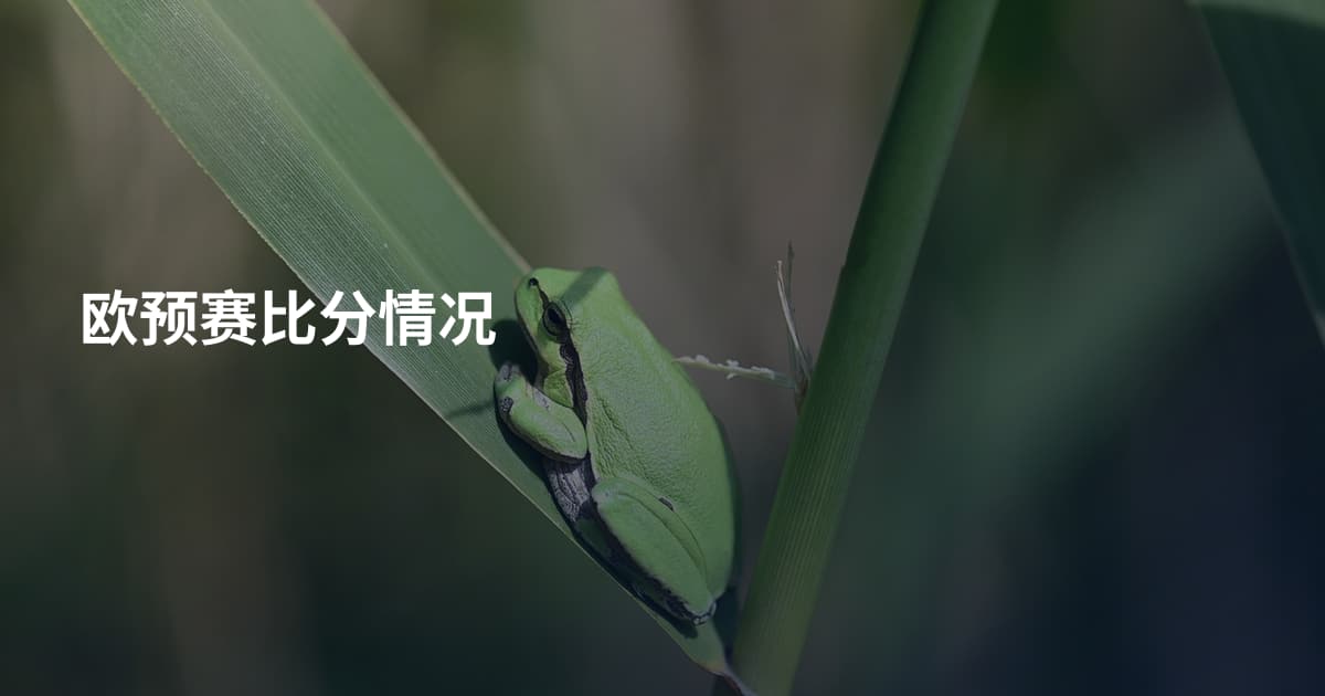 欧预赛比分情况