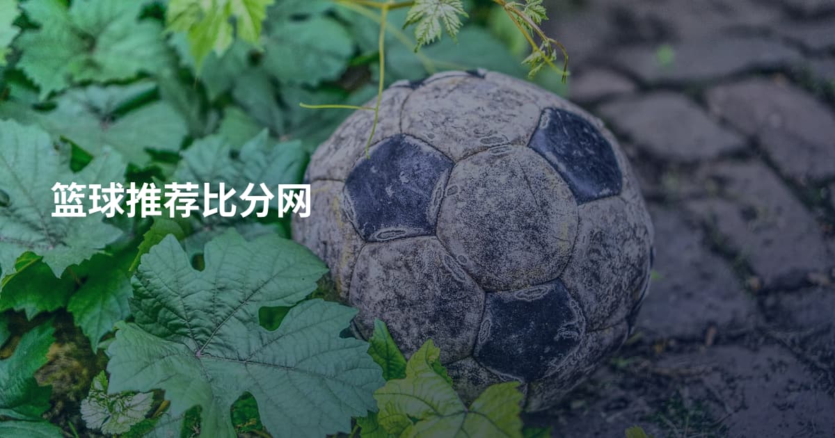 篮球推荐比分网